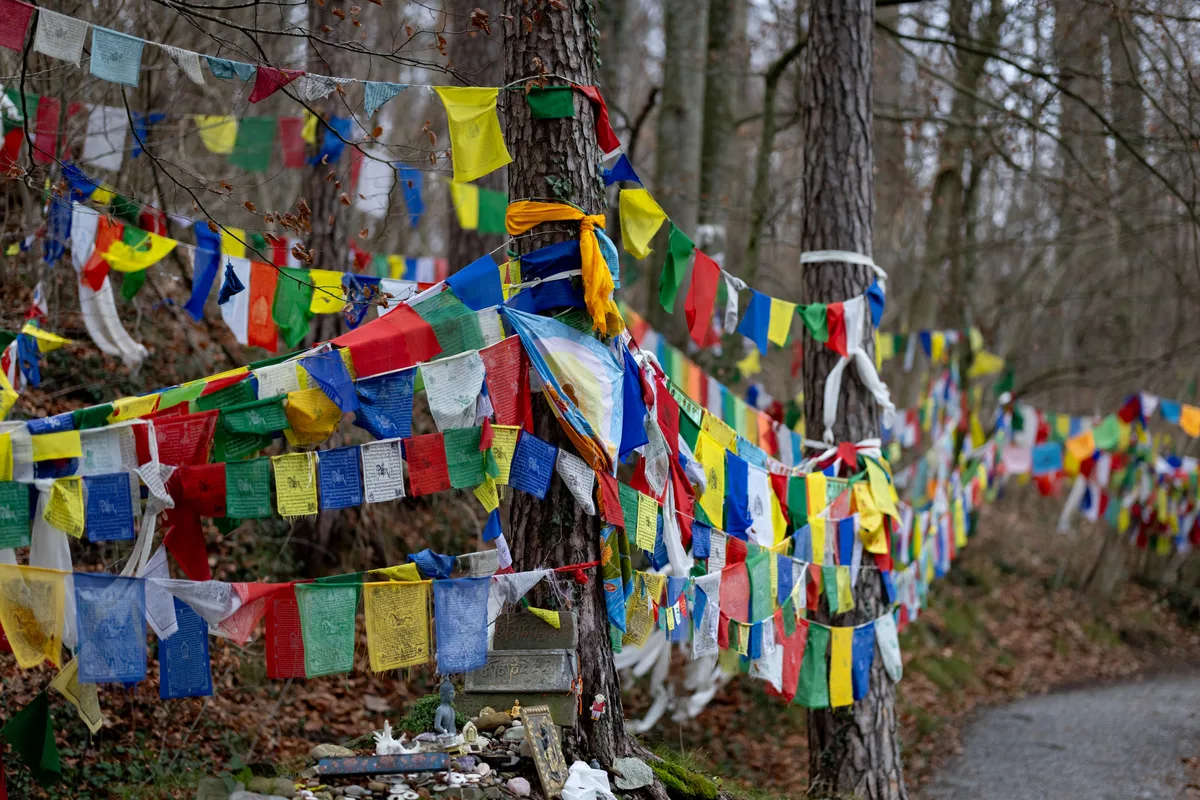 Im Waldstück unmittelbar neben dem Gebäude hängen zahlreiche Gebetsfahnen. Besuchende bringen sie mit und hängen sie auf. Im Waldstück unmittelbar neben dem Gebäude hängen zahlreiche Gebetsfahnen. Besuchende bringen sie mit und hängen sie auf.